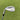 Cleveland Rtx Zipcore Wedge Sw 56°.10 Mid / Wedge Flex / Left Hand