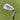 Ping G425 Wedge Aw 49°.5 / Alta Cb Awt Regular / Green Dot