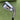 Callaway X Hot Pro #6 Iron / Project X 95 5.5 Regular