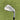 Cleveland Rtx Full-Face 2 Wedge Aw 52°.8 / Wedge Flex