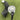 New Cobra Ds-Adapt Hybrid / #5 24° / Kbs Pgi Hybrid 75 Regular