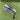 Nike Slingshot Powerbow / #8 Iron / Uniflex