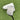 Ping DS72 2024 Putter / 34"