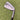 Ping I210 #4 Iron 22.5° / Awt 2.0 Regular / White Dot
