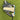 Ping Scottsdale 2025 Craz-E Putter / 34"
