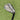 Rife Rx7 Wedge Aw 52°.10 / Wedge Flex