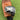 Taylormade BRNR Copper Mini Driver / 11.5° / Ust Proforce 65 M40X Regular