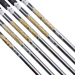 Taylormade P770 2023 Irons / 5-Pw / Dynamic Gold R300 95 Regular / Left Hand 5
