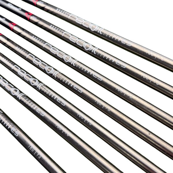 Taylormade P790 2019 Irons / 5-Pw-Aw / Recoil ES 780 F3 Regular 5